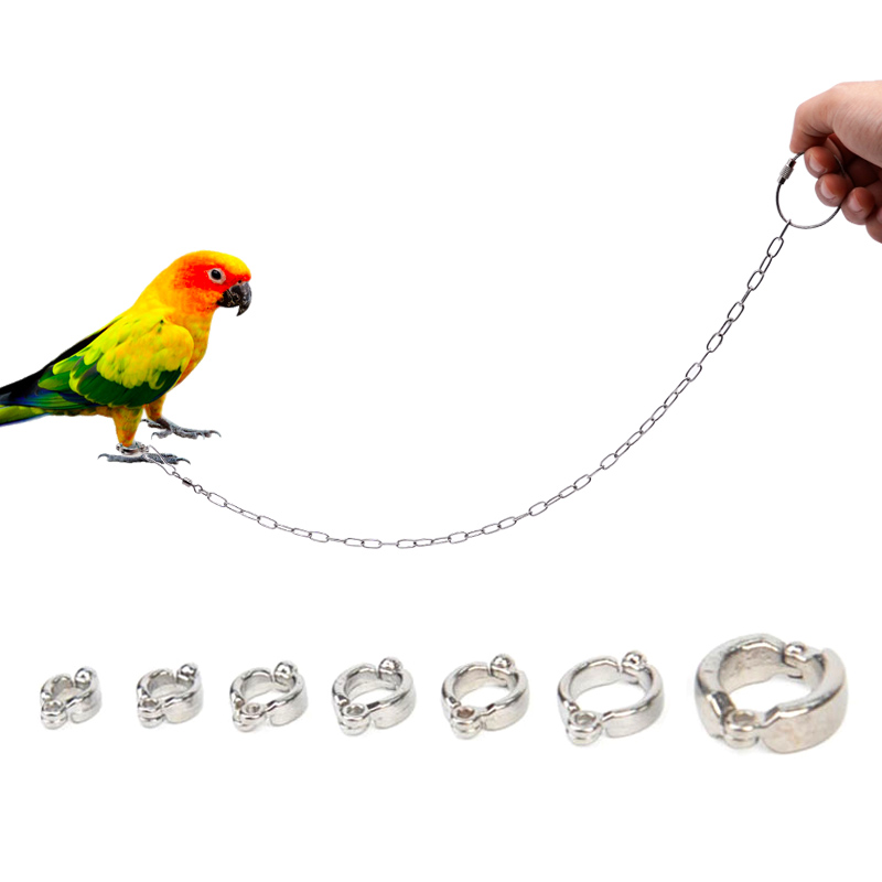 Anillo de acero inoxidable par - Anklet Foot Chain reseña y precio