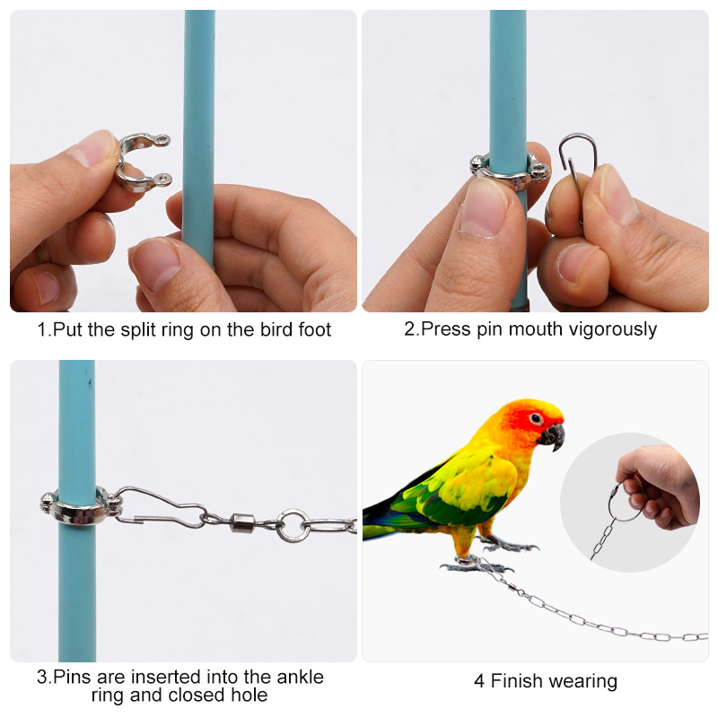 Anillo de acero inoxidable par - Anklet Foot Chain reseña y precio